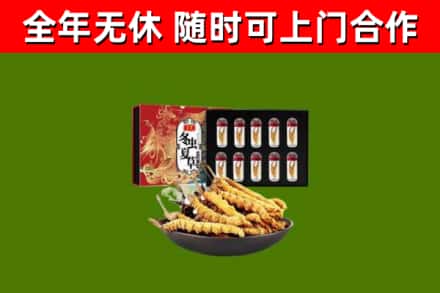 西和回收冬虫夏草价格